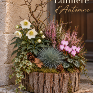 🕯️ Lumière d’Automne