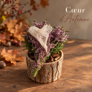 Cœur d'Automne